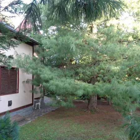 Lake House Green Garden *